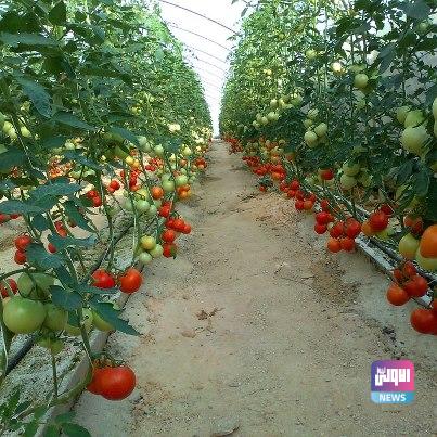 16C63BBB 44D9 4867 A41A 1C0DCEE65673