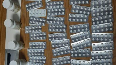 171042021 415e7251 2d8d 41c9 819b b3ef21ee7b53