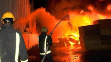 172542021 5cec4d253f278 1