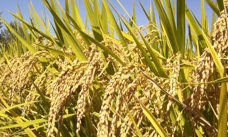 1FEC3D63 F2EE 49B0 9C11 94A6B912A863