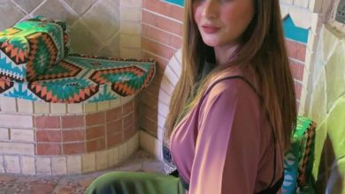 20AE1A74 9C03 4D99 9A0E 83249B5C9669