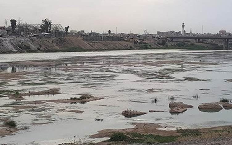 233C638C A938 48E1 9D66 64399D741A5B