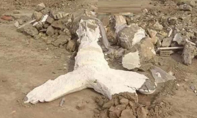 259CEB73 53D9 49D2 B728 5440FD81CC4F