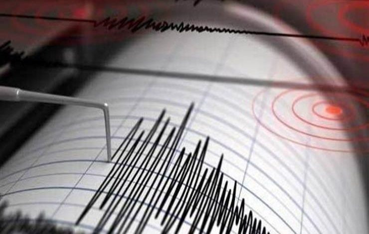 262521D2 9B24 42D9 863E 246044DE5472