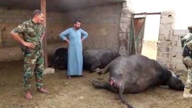 2904C020 F4D7 49CE BE1E D27E5ADA0808