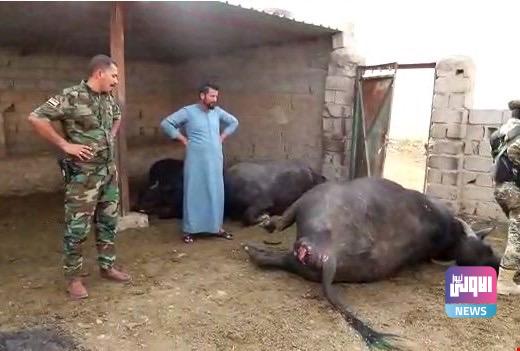 2904C020 F4D7 49CE BE1E D27E5ADA0808