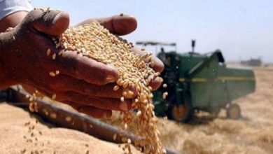 2FD84C7F 6A55 4141 8C36 BAC380B57602