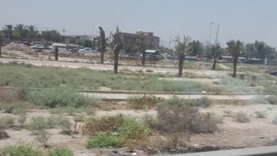 31616631 F402 4AD1 BFA8 F73F25015547