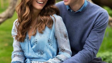 3AE2323C 81ED 4458 BD07 319A42D5BAAB