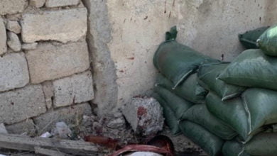 3AEA60D0 C79E 47B5 B772 49A9FDFCD45C