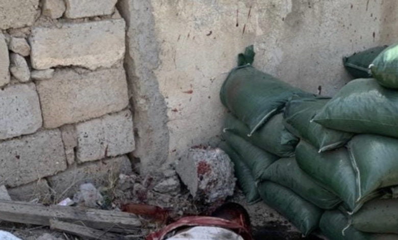 3AEA60D0 C79E 47B5 B772 49A9FDFCD45C