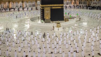 3D0251D3 6B33 4356 8BF2 B0E7426F7693