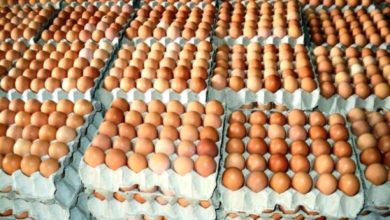 3F917D34 607D 4A74 A2DF A90B762725AF