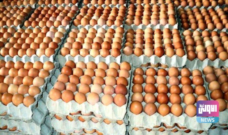 3F917D34 607D 4A74 A2DF A90B762725AF