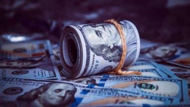 402EE87B 8E87 4E11 8DD8 868010601CEF