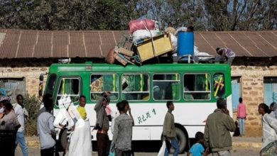 564B8A7A C5F2 490B BC01 39CEF31F078B