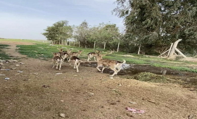 56B6EB97 3069 429C BF9D F2C3FB5CD006