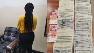 57309346 4A08 4D0C 956B 44BEBC1A34D7