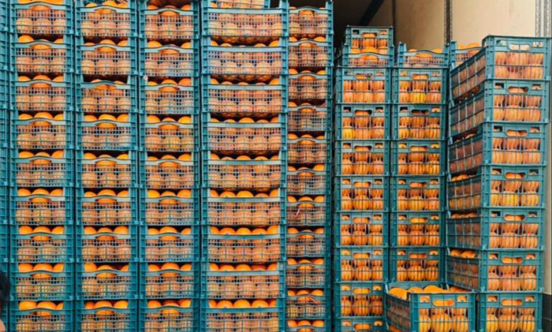 5964E8ED 7FC8 47DD BDCD 9F2F8F6F62E0