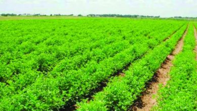 5BA817E7 F514 477B 941A E3E8838A061B