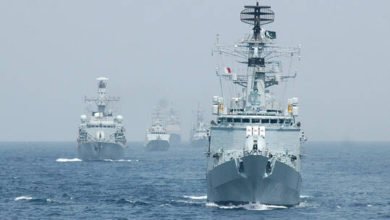 6068356b4236043cf5203299