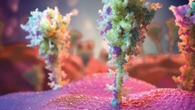 606daca04c59b757267d3d99