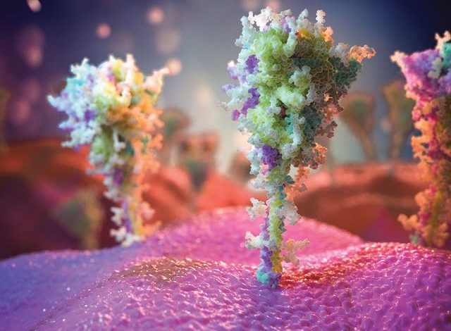 606daca04c59b757267d3d99