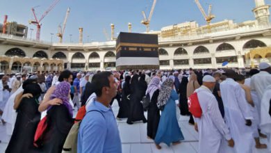 6077e0cc42360448a540a84e