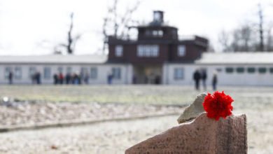 607d25264c59b728b23f3d36