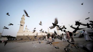 6081455b4236041be73411aa 1