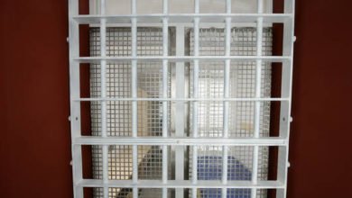 6081471a4236041be73411b1