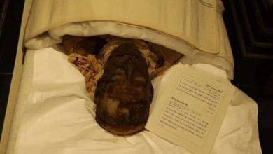 باحث أثري يكشف عن مفاجأة رمسيس الثاني.. كانت له ذقن ظاهرة بالمومياء 21 60840fbc4c59b7446f17deee