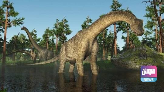 60869f724236040e17077ebb