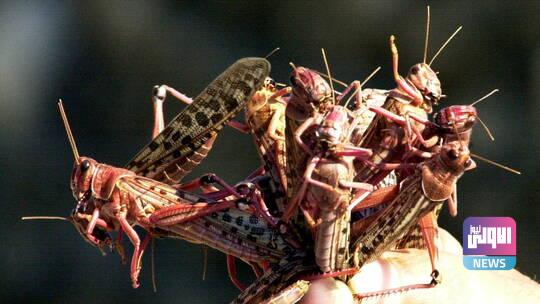 60870ca24c59b708733f0403