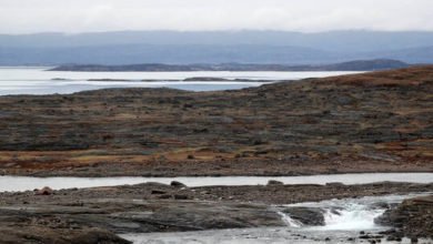 6087555b4c59b72057313d28