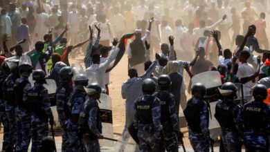 608a017142360464461a14de