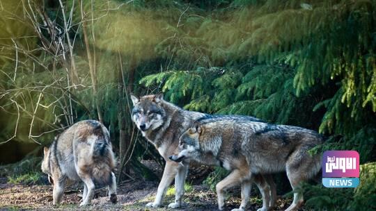 608a5b8a423604445d11e8a9