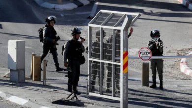 608bcd7442360468ba519824