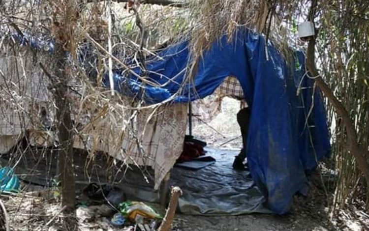 6548FDF1 61CE 4ED4 BC11 5B387953B6F4