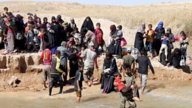 6B7FC667 F156 4DF3 A78C EEE190E7F2FA