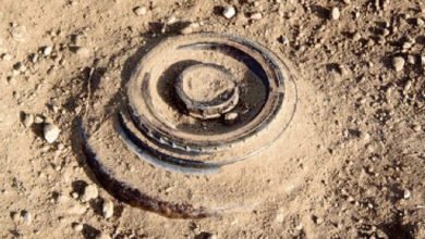 6ED977A7 EF0C 4AF5 98FC C649B644FF73