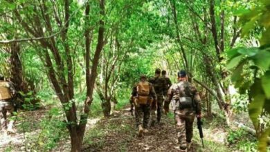 748952F4 8351 4890 A364 42144689DA99