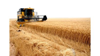 7B1D6354 2BBC 45CF A497 FDFB0C00C68D