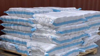 7CC963AE DD43 4FBE 8321 29C05F308477