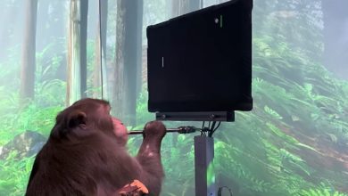 7D8728E1 5876 4640 9F77 6A6D2465838C