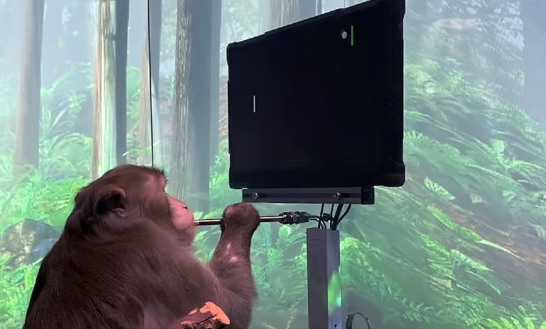 7D8728E1 5876 4640 9F77 6A6D2465838C