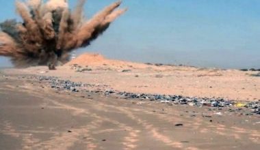 7E8C1FC2 B2BB 46B0 8FDC A3CCF5E8D0D2