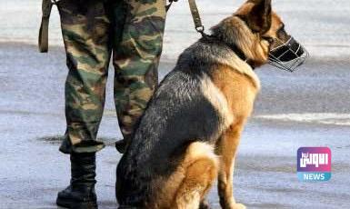 80BE6E0E 92AC 4543 A48A 757860F911E7