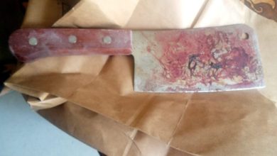 8768EA3F 76F2 451C 8106 6D127633772C