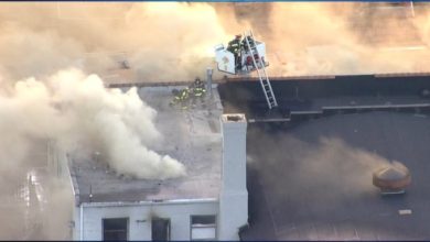 8F00E0B6 750F 4341 9AA4 02324537895D